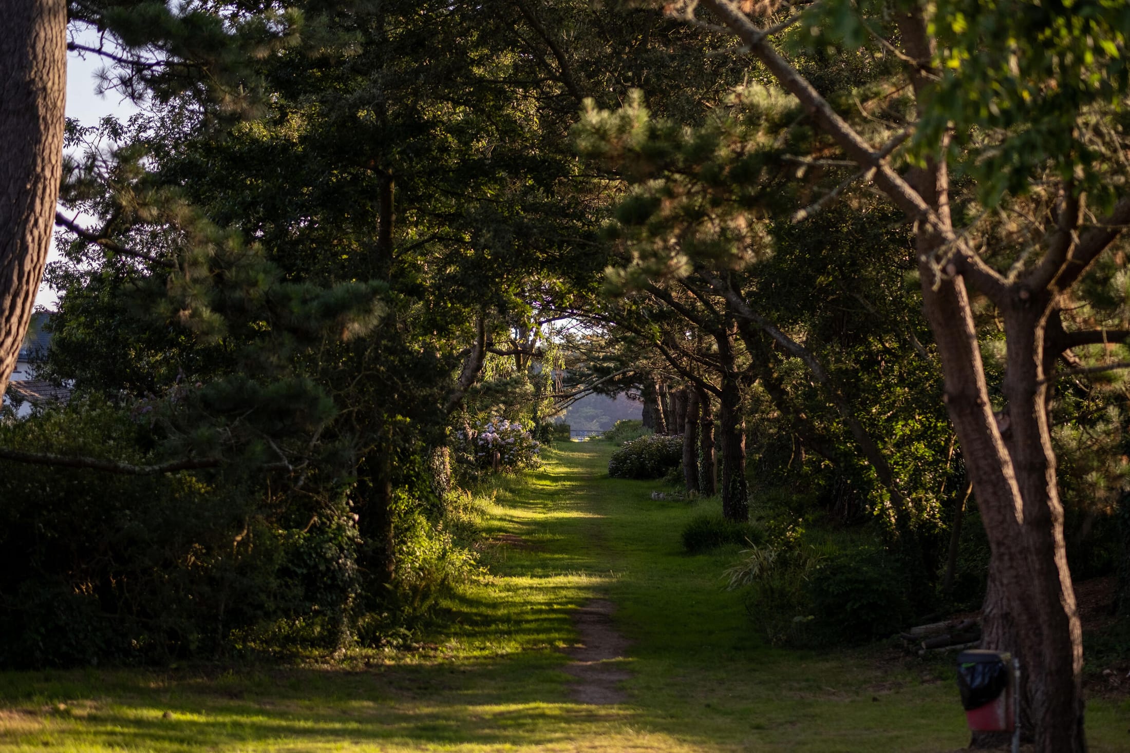 The Best Dog Walks In & Around Cornwall Fowey Hall